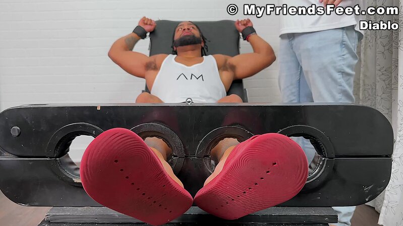 Diablo laughs uncontrollably as his ticklishness is put to the test