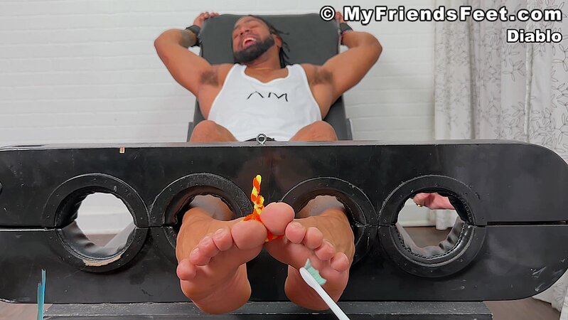 Diablo laughs uncontrollably as his ticklishness is put to the test