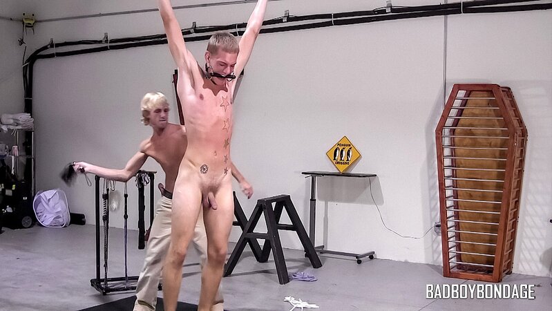 Dayne Murphy is gagged and flogged by Cody Paranoid in bondage