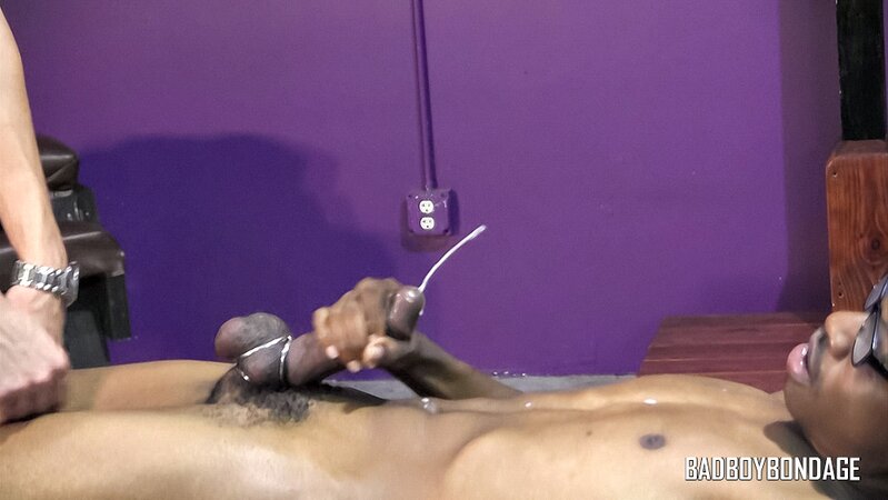 CJ Connors feeds DJ his cock and leads to a cum-filled reward